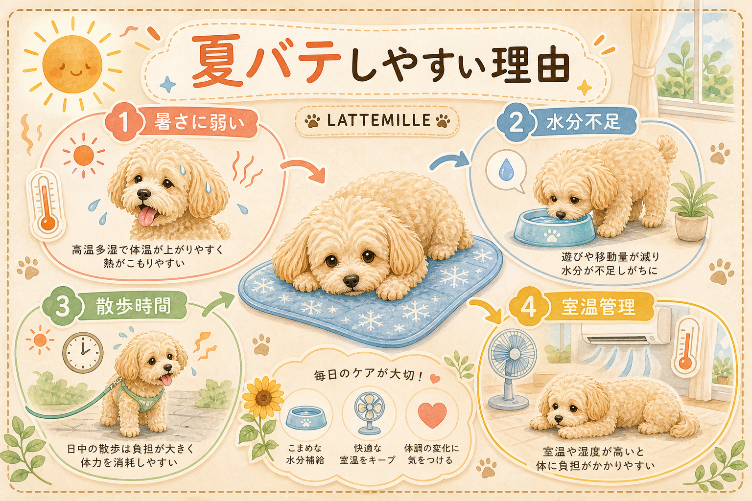 マルプーが夏バテしやすい3つの理由 の図解
