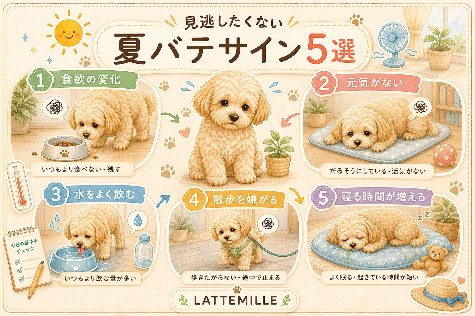 見逃したくない夏バテのサイン5選 の図解