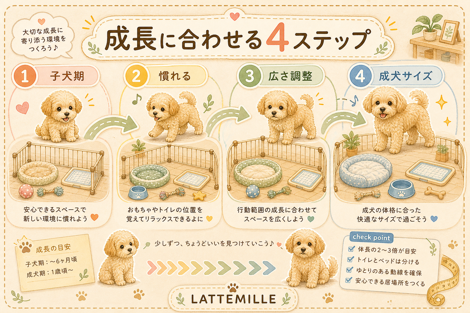 子犬期と成犬期で変わる4ステップ の図解